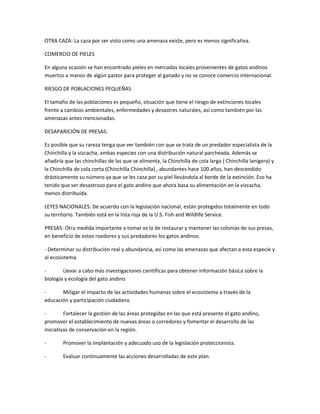 OTRA CAZA: La caza por ser visto como una amenaza existe, pero es menos significativa.
COMERCIO DE PIELES
En alguna ocasión se han encontrado pieles en mercados locales provenientes de gatos andinos
muertos a manos de algún pastor para proteger al ganado y no se conoce comercio internacional.
RIESGO DE POBLACIONES PEQUEÑAS
El tamaño de las poblaciones es pequeño, situación que tiene el riesgo de extinciones locales
frente a cambios ambientales, enfermedades y desastres naturales, así como también por las
amenazas antes mencionadas.
DESAPARICIÓN DE PRESAS:
Es posible que su rareza tenga que ver también con que se trata de un predador especialista de la
Chinchilla y la vizcacha, ambas especies con una distribución natural parcheada. Además se
añadiría que las chinchillas de las que se alimenta, la Chinchilla de cola larga ( Chinchilla lanigera) y
la Chinchilla de cola corta (Chinchilla Chinchilla) , abundantes hace 100 años, han descendido
drásticamente su número ya que se les caza por su piel llevándola al borde de la extinción. Eso ha
tenido que ser desastroso para el gato andino que ahora basa su alimentación en la vizcacha,
menos distribuída.
LEYES NACIONALES: De acuerdo con la legislación nacional, están protegidos totalmente en todo
su territorio. También está en la lista roja de la U.S. Fish and Wildlife Service.
PRESAS: Otra medida importante a tomar es la de restaurar y mantener las colonias de sus presas,
en beneficio de estos roedores y sus predadores los gatos andinos.
- Determinar su distribución real y abundancia, así como las amenazas que afectan a esta especie y
al ecosistema.
- Llevar a cabo más investigaciones científicas para obtener información básica sobre la
biología y ecología del gato andino
- Mitigar el impacto de las actividades humanas sobre el ecosistema a través de la
educación y participación ciudadana.
- Fortalecer la gestión de las áreas protegidas en las que está presente el gato andino,
promover el establecimiento de nuevas áreas o corredores y fomentar el desarrollo de las
iniciativas de conservación en la región.
- Promover la implantación y adecuado uso de la legislación proteccionista.
- Evaluar continuamente las acciones desarrolladas de este plan.
 