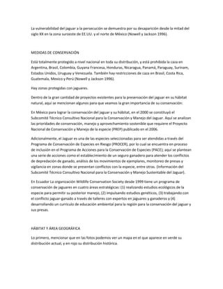 La vulnerabilidad del jaguar a la persecución se demuestra por su desaparición desde la mitad del
siglo XX en la zona suroeste de EE.UU. y el norte de México (Nowell y Jackson 1996).
MEDIDAS DE CONSERVACIÓN
Está totalmente protegido a nivel nacional en toda su distribución, y está prohibida la caza en
Argentina, Brasil, Colombia, Guyana Francesa, Honduras, Nicaragua, Panamá, Paraguay, Surinam,
Estados Unidos, Uruguay y Venezuela. También hay restricciones de caza en Brasil, Costa Rica,
Guatemala, Mexico y Perú (Nowell y Jackson 1996).
Hay zonas protegidas con jaguares.
Dentro de la gran cantidad de proyectos existentes para la preservación del jaguar en su hábitat
natural, aquí se mencionan algunos para que veamos la gran importancia de su conservación:
En México para lograr la conservación del jaguar y su hábitat, en el 2000 se constituyó el
Subcomité Técnico Consultivo Nacional para la Conservación y Manejo del Jaguar. Aquí se analizan
las prioridades de conservación, manejo y aprovechamiento sostenible que requiere el Proyecto
Nacional de Conservación y Manejo de la especie (PREP) publicado en el 2006.
Adicionalmente, el Jaguar es una de las especies seleccionadas para ser atendidas a través del
Programa de Conservación de Especies en Riesgo (PROCER), por lo cual se encuentra en proceso
de inclusión en el Programa de Acciones para la Conservación de Especies (PACE); aquí se plantean
una serie de acciones como el establecimiento de un seguro ganadero para atender los conflictos
de depredación de ganado, análisis de los movimientos de ejemplares, monitoreo de presas y
vigilancia en zonas donde se presentan conflictos con la especie, entre otras. (Información del
Subcomité Técnico Consultivo Nacional para la Conservación y Manejo Sustentable del Jaguar).
En Ecuador La organización Wildlife Conservation Society desde 1999 tiene un programa de
conservación de jaguares en cuatro áreas estratégicas: (1) realizando estudios ecológicos de la
especie para permitir su posterior manejo, (2) impulsando estudios genéticos, (3) trabajando con
el conflicto jaguar-ganado a través de talleres con expertos en jaguares y ganaderos y (4)
desarrollando un currículo de educación ambiental para la región para la conservación del jaguar y
sus presas.
HÁBITAT Y ÁREA GEOGRÁFICA
Lo primero, mencionar que en las fotos podemos ver un mapa en el que aparece en verde su
distribución actual, y en rojo su distribución histórica.
 