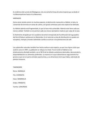 Es endémico del sureste de Madagascar, de una estrecha franja de selva tropical que va desde el
río Manampatrana hasta el río Mananara
AMENAZAS
Como viene siendo común en muchas especies, la destrucción masiva de su hábitat, la tala y la
conversión de terrenos en zonas de cultivo, son graves amenazas para esta especie tan delicada.
Su hábitat además está fragmentado, lo que lo hace más vulnerable. Además este tiene cada vez
menos calidad. También se encuentran cada vez menos ejemplares maduros por culpa de la caza.
Es fácilmente atrapado por los cazadores durante la temporada de fructificación de la guayabita
del Perú (Psidium cattlianum) en Manombo. En el resto de su área de distribución es cazado con
escopetas, trampas y hondas sobretodo cuando se acercan a las plantaciones de café
Las catástrofes naturales también han hecho mella en esta especie, ya que tras el gran ciclón que
asoló la zona en 1997, su población se redujo a la mitad. Tras el ciclón el hábitat se vio
drásticamente afectado también, con el 90 % de los árboles autóctonos destruidos, decreciendo la
disponibilidad de sus alimentos preferidos. La manera en la que sobrevivieron seguramente fue
gracias a que son en parte animales oportunistas, y se alimentaron de lo que había, sobretodo de
plantas invasoras.
TAXONOMÍA
Reino: ANIMALIA
Filo: CHORDATA
Clase: MAMMALIA
Orden: PRIMATES
Familia: LEMURIDAE
 