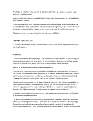 Resultados de estudios realizados en la década de los 80 indican que los tamaños de los grupos
varían de 5 a 18 ejemplares.
Su alimentación incluye gran variedad de frutas, flores, hojas, líquenes, raíces de epífitas y bulbos,
y posiblemente insectos
En un reciente estudio sobre el terreno, un grupo inusualmente grande (17 a 20 ejemplares) fue
encontrado en las zonas relativamente cercanas a las parcelas agrícolas, lo que puede indicar que
debido a la pérdida de hábitat cada vez tienen menos zonas naturales por las que moverse.
Esta especie parece ser muy sensible a las alteraciones en su hábitat.
HÁBITAT Y ÁREA GEOGRÁFICA
Es endémico de los Andes de Perú, en altitudes de 1700 a 2700 m. en los departamentos de San
Martín y Amazonas.
AMENAZAS
La inaccesibilidad de su hábitat protegió a esta especie hasta la década de los 50. Sin embargo, los
proyectos de colonización y la construcción de carreteras (como la carretera central que cruza a
través de los bosques de la región) empezaron el proceso de declive de la especie.
Algunas de las amenazas más destacadas son las siguientes:
Estos monos se caracterizan por no tener ningún miedo a las personas, saliendo a su encuentro
con chillidos ensordecedores y arrojando frutos de los árboles, mientras los machos de la manada
agitan furiosamente las ramas y enseñan sus genitales a los intrusos en señal de territorialidad.
Esta valentía sin embargo tiene su lado malo, ya que los delata ante los cazadores.
Y es que estos monos cuentan con un área reducida de menos de 7.000 kilómetros cuadrados en
los bosques nubosos de los Andes tropicales, bosques que son invadidos por los agricultores y
taladores ilegales que muchas veces acaban convirtiéndose en ocasionales cazadores de estos
animales. (En 1981 se estima que su hábitat potencial era de al menos 11.240 km ²)
Uno de los problemas de conservación de esta especie es que es un tipo de mono muy delicado, y
es muy difícil que viva en cautiverio.
Los bosques donde viven son los de mayor tasa de deforestación en Perú debido a la agricultura
rotativa, al tráfico ilegal de madera, y a la amenaza de las compañías mineras y petroleras, según
Cornejo. La carencia de tierras agrícolas libres ha motivado la migración de pobladores del
departamento de Cajamarca hacia Amazonas y San Martín en busca de los terrenos de los bosques
 
