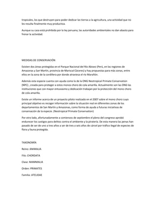 tropicales, los que destruyen para poder dedicar las tierras a la agricultura, una actividad que no
les resulta finalmente muy productiva.
Aunque su caza está prohibida por la ley peruana, las autoridades ambientales no dan abasto para
frenar la actividad.
MEDIDAS DE CONSERVACIÓN
Existen dos áreas protegidas en el Parque Nacional del Río Abiseo (Perú, en las regiones de
Amazonas y San Martín, provincia de Mariscal Cáceres) y hay propuestas para más zonas, entre
ellos en la zona de la cordillera por donde atraviesa el río Marañón.
Además esta especie cuenta con ayuda como la de la ONG Neotropical Primate Conservation
(NPC) , creada para proteger a estos monos choro de cola amarilla. Actualmente son las ONG las
instituciones que con mayor entusiasmo y dedicación trabajan por la protección del mono choro
de cola amarilla.
Existe un informe acerca de un proyecto piloto realizado en el 2007 sobre el mono choro cuyo
principal objetivo es recoger información sobre la situación real en diferentes zonas de los
departamentos de San Martín y Amazonas, como forma de ayuda a futuras iniciativas de
conservación de la especie. (Neotropical Primate Conservation)
Por otro lado, afortunadamente a comienzos de septiembre el pleno del congreso aprobó
endurecer los castigos para delitos contra el ambiente y la piratería. De esta manera las penas han
pasado de ser de uno a tres años a ser de tres a seis años de cárcel por tráfico ilegal de especies de
flora y fauna protegida.
TAXONOMÍA
Reino: ANIMALIA
Filo: CHORDATA
Clase: MAMMALIA
Orden: PRIMATES
Familia: ATELIDAE
 