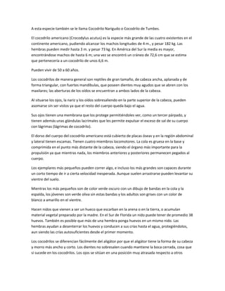 A esta especie también se le llama Cocodrilo Narigudo o Cocodrilo de Tumbes.
El cocodrilo americano (Crocodylus acutus) es la especie más grande de las cuatro existentes en el
continente americano, pudiendo alcanzar los machos longitudes de 4 m., y pesar 182 kg. Las
hembras pueden medir hasta 3 m. y pesar 73 kg. En América del Sur la media es mayor,
encontrándose machos de hasta 6 m; una vez se encontró un cráneo de 72,6 cm que se estima
que pertenecería a un cocodrilo de unos 6,6 m.
Pueden vivir de 50 a 60 años.
Los cocodrilos de manera general son reptiles de gran tamaño, de cabeza ancha, aplanada y de
forma triangular, con fuertes mandíbulas, que poseen dientes muy agudos que se abren con los
maxilares; las aberturas de los oídos se encuentran a ambos lados de la cabeza.
Al situarse los ojos, la nariz y los oídos sobresaliendo en la parte superior de la cabeza, pueden
asomarse sin ser vistos ya que el resto del cuerpo queda bajo el agua.
Sus ojos tienen una membrana que los protege permitiéndoles ver, como un tercer párpado, y
tienen además unas glándulas lacrimales que les permite expulsar el exceso de sal de su cuerpo
con lágrimas (lágrimas de cocodrilo).
El dorso del cuerpo del cocodrilo americano está cubierto de placas óseas y en la región abdominal
y lateral tienen escamas. Tienen cuatro miembros locomotores. La cola es gruesa en la base y
comprimida en el punto más distante de la cabeza, siendo el órgano más importante para la
propulsión ya que mientras nada, los miembros anteriores y posteriores permanecen pegados al
cuerpo.
Los ejemplares más pequeños pueden correr algo, e incluso los más grandes son capaces durante
un corto tiempo de ir a cierta velocidad inesperada. Aunque suelen arrastrarse pueden levantar su
vientre del suelo.
Mientras los más pequeños son de color verde oscuro con un dibujo de bandas en la cola y la
espalda, los jóvenes son verde oliva sin estas bandas y los adultos son grises con un color de
blanco a amarillo en el vientre.
Hacen nidos que vienen a ser un hueco que escarban en la arena o en la tierra, o acumulan
material vegetal preparado por la madre. En el Sur de Florida un nido puede tener de promedio 38
huevos. También es posible que más de una hembra ponga huevos en un mismo nido. Las
hembras ayudan a desenterrar los huevos y conducen a sus crías hasta el agua, protegiéndolos,
aun siendo las crías autosuficientes desde el primer momento.
Los cocodrilos se diferencian fácilmente del aligátor por que el aligátor tiene la forma de su cabeza
y morro más ancho y corto. Los dientes no sobresalen cuando mantiene la boca cerrada, cosa que
sí sucede en los cocodrilos. Los ojos se sitúan en una posición muy atrasada respecto a otros
 