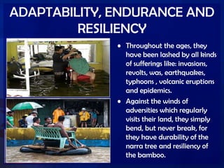 ADAPTABILITY, ENDURANCE AND
RESILIENCY
• Throughout the ages, they
have been lashed by all kinds
of sufferings like: invasions,
revolts, was, earthquakes,
typhoons , volcanic eruptions
and epidemics.
• Against the winds of
adversities which regularly
visits their land, they simply
bend, but never break, for
they have durability of the
narra tree and resiliency of
the bamboo.
 