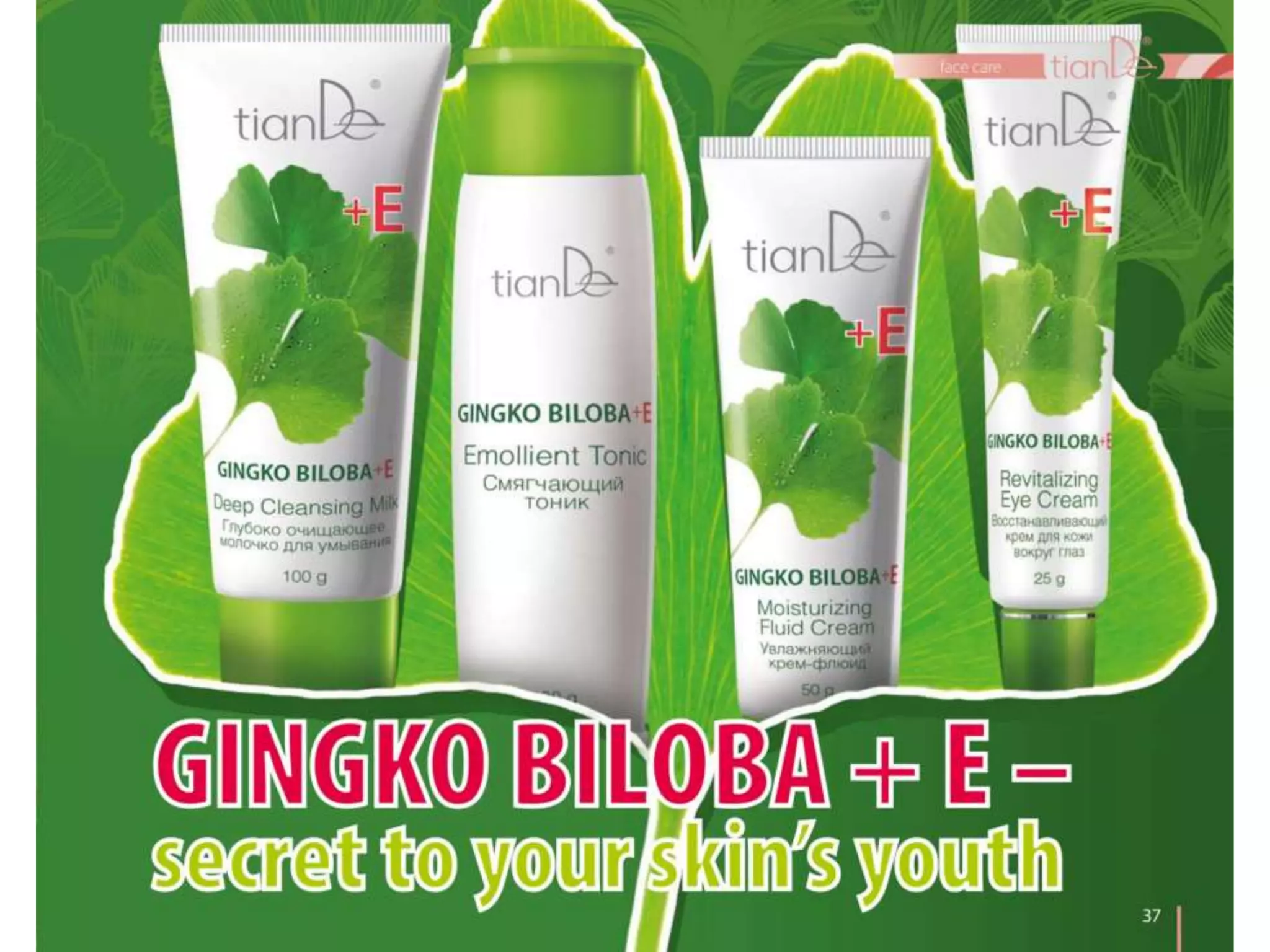 Tiande 2014 2015 Catalogue English version PPT