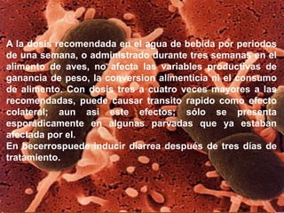 A la dosis recomendada en el agua de bebida por periodos
de una semana, o administrado durante tres semanas en el
alimento de aves, no afecta las variables productivas de
ganancia de peso, la conversion alimenticia ni el consumo
de alimento. Con dosis tres a cuatro veces mayores a las
recomendadas, puede causar transito rapido como efecto
colateral; aun asi este efectos; sólo se presenta
esporádicamente en algunas parvadas que ya estaban
afectada por el.
En becerrospuede inducir diarrea después de tres días de
tratamiento.
 