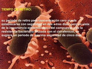 TIEMPO DE RETIRO:
su periodo de retiro para concentración cero puede
establecerse con seguridad en dos a tres dias; pero en vista
de la importancia epidemiologica del compuesto y de la
resistencia bacteriana cruzada con el clorafenicol, se
sugiere un periodo de maxima seguridad de cinco dias.
 