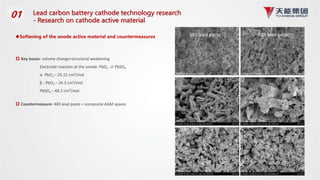 Tianneng Lead Carbon Batteries.pptx