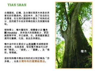 檜木
台灣扁柏、紅檜、及台灣杉等原木林是世界
著名的珍貴森林。這些林木，為了各自的生
長環境，在生理代謝過程中產生了特殊的成
分，因而賦予木材非常棒的耐久性與獨特香
味。
植物學上，檜木屬柏科，樹體會分泌 檜木
醇 Hinokitiol ，具有強大的殺菌能力，更因
幽香無辛味，早已被德、日、美等國家廣泛
運用在醫藥、化妝、食品及保健品。
檜木油中的主要成分 α-松油精 有減輕疲勞
的效果， 也就是說，吸收檜木精油可以紓
解「緊張」、「疲勞」、「憂鬱」、及「憤
怒」等情緒。
這些特殊檜木精油功效的成分則泛稱為「芬
多精」，也是台灣特有的國寶級產品。
 