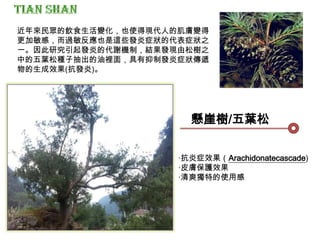 懸崖樹/五葉松
‧抗炎症效果（Arachidonatecascade)
‧皮膚保護效果
‧清爽獨特的使用感
近年來民眾的飲食生活變化，也使得現代人的肌膚變得
更加敏感，而過敏反應也是這些發炎症狀的代表症狀之
一。因此研究引起發炎的代謝機制，結果發現由松樹之
中的五葉松種子抽出的油裡面，具有抑制發炎症狀傳遞
物的生成效果(抗發炎)。
 
