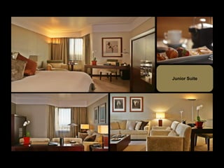 Junior Suite
 
