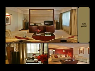 Suite
Junior
 
