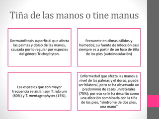 Tiña de las manos o tine manus
Dermatofitosis superficial que afecta
las palmas y dorso de las manos,
causada por lo regular por especies
del género Trichophyton.
Frecuente en climas cálidos y
húmedos; su fuente de infección casi
siempre es a partir de un foco de tiña
de los pies (autoinoculación)
Las especies que con mayor
frecuencia se aíslan son T. rubrum
(80%) y T. mentagrophytes (15%).
Enfermedad que afecta las manos a
nivel de las palmas y el dorso; puede
ser bilateral, pero se ha observado un
predominio de casos unilaterales
(75%); por eso se le ha descrito como
una afección combinada con la tiña
de los pies, “síndrome de dos pies,
una mano”
 