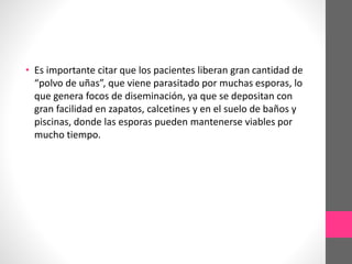 • Es importante citar que los pacientes liberan gran cantidad de
“polvo de uñas”, que viene parasitado por muchas esporas, lo
que genera focos de diseminación, ya que se depositan con
gran facilidad en zapatos, calcetines y en el suelo de baños y
piscinas, donde las esporas pueden mantenerse viables por
mucho tiempo.
 