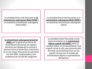La variedad clínica más frecuente es la
onicomicosis subungueal distal (OSD) y
en ocasiones onicomicosis subungueal
lateral (OSL)
La variedad clínica más frecuente es la
onicomicosis subungueal distal (OSD) y
en ocasiones onicomicosis subungueal
lateral
la onicomicosis subungueal proximal
(OSP), por lo general en forma de
leuconiquia transversal; las esporas
penetran por debajo de la cutícula y
avanzan hacia el borde libre; esta forma
se ve con mayor frecuencia en pacientes
con VIH-SIDA, trasplantados y con
problemas de circulación sanguínea
La variedad menos frecuente y la de
mejor pronóstico es la onicomicosis
blanca superfi cial (OBS); como su
nombre indica, es una parasitación muy
superfi cial de la uña, que presenta sólo
discretas zonas blanquecinas; es tan
superfi cial que con el empleo de
antimicóticos tópicos o queratolíticos
desaparece
 