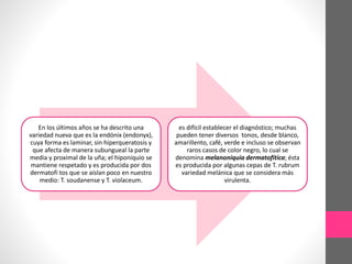 En los últimos años se ha descrito una
variedad nueva que es la endónix (endonyx),
cuya forma es laminar, sin hiperqueratosis y
que afecta de manera subungueal la parte
media y proximal de la uña; el hiponiquio se
mantiene respetado y es producida por dos
dermatofi tos que se aíslan poco en nuestro
medio: T. soudanense y T. violaceum.
es difícil establecer el diagnóstico; muchas
pueden tener diversos tonos, desde blanco,
amarillento, café, verde e incluso se observan
raros casos de color negro, lo cual se
denomina melanoniquia dermatofítica; ésta
es producida por algunas cepas de T. rubrum
variedad melánica que se considera más
virulenta.
 