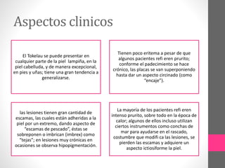 Aspectos clinicos
El Tokelau se puede presentar en
cualquier parte de la piel lampiña, en la
piel cabelluda, y de manera excepcional,
en pies y uñas; tiene una gran tendencia a
generalizarse.
Tienen poco eritema a pesar de que
algunos pacientes refi eren prurito;
conforme el padecimiento se hace
crónico, las placas se van superponiendo
hasta dar un aspecto circinado (como
“encaje”).
las lesiones tienen gran cantidad de
escamas, las cuales están adheridas a la
piel por un extremo, dando aspecto de
“escamas de pescado”, éstas se
sobreponen o imbrican (imbrex) como
“tejas”; en lesiones muy crónicas en
ocasiones se observa hipopigmentación.
La mayoría de los pacientes refi eren
intenso prurito, sobre todo en la época de
calor; algunos de ellos incluso utilizan
ciertos instrumentos como conchas de
mar para ayudarse en el rascado,
costumbre que modifi ca las lesiones, se
pierden las escamas y adquiere un
aspecto ictiosiforme la piel.
 
