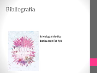 Bibliografía
Micologia Medica
Basica Bonifaz 4ed
 