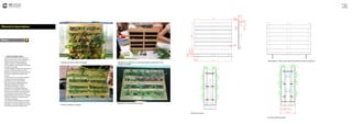 Memoria descriptiva
Ideas
• Jardín verticales casero
Al colocar este sistema que se toma del
jardín vertical ( foto 1 ) nos brindaba una
aislación para las calles y los locales y
propone mejorar la calidad ambiental
urbana, dejando como ejemplo el aumento
de verde en la ciudad.
El diseño elegido nos daba una impresión de
panel en la parte frontal ya que en los
laterales su proporción era la tercera parte
de su altura y taparía las visuales a los
usuarios
Se opto esta forma para dejarlo paralelo a
las calles y/o locales comerciales y
dejándolos con una mejor estética
Para este proyecto se elegirían plantas
pequeñas y tupidas con el menor
mantenimiento posibles y que su
plantación sea en esta época para que
pueda crecer sin problema y mantenerse
firme para esto también necesita ayuda de
la tierra que era una mezcla de raíces y
pequeñas partículas de aserrín así se podría
mantener compacta y no desboronarse
cuando este en granel.
Los materiales utilizados fueron reciclados
para darle un uso útil a objetos que serian
eliminados. Las formas siempre se mantuvo
no tubo gran parte de modificaciones.
Ejercicio 1
MU-U
Alumnos
Doble pallet en interior que se deja entre ambos se coloca su estructura.
Inspiración de jardín vertical sobre pallet. Maqueta de la inspiración con lonas para generar condensación. Se le
incorpora otro pallet.
Curado de madera en maqueta
Maqueta con una semana de duracion.
Estructura de acero.
Su propio sistema de goteo.
 