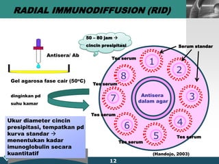 RADIAL IMMUNODIFFUSION (RID)12Antisera/ AbGel agarosa fase cair (50oC)50 – 80 jam  cincin presipitasiSerum standar1Tes serum28Antisera dalam agarTes serum3dinginkan pdsuhu kamar7Tes serum4Ukur diameter cincin presipitasi, tempatkan pd kurva standar  menentukan kadar imunoglobulin secara kuantitatif65Tes serumTes serum(Handojo, 2003) 