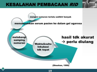 IgA; inkubasi 48 jam
