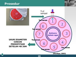 Pemeriksaan IgA di Instalasi Patologi Klinik RSUD.dr.SoetomoPrinsip pemeriksaan (RID):Ig A serum/plasma manusia membentuk kompleks imun dengan antibodi spesifik pada gel agarose pada cakram PartigenDiameter cincin presipitasi berbanding lurus dengan konsentrasi Ig A dalam sampelHasil dikonversi ke dalam konsentrasi Ig A menggunakan tabel nilai referensi.21