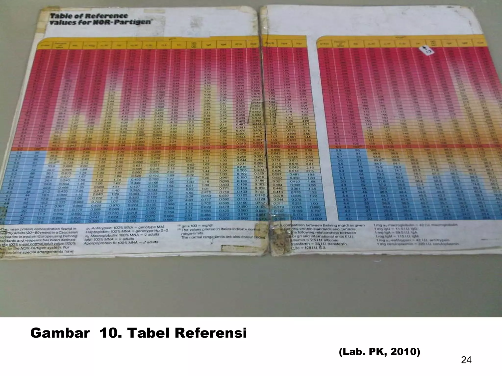 Gambar  10. Tabel Referensi (Lab. PK, 2010) 