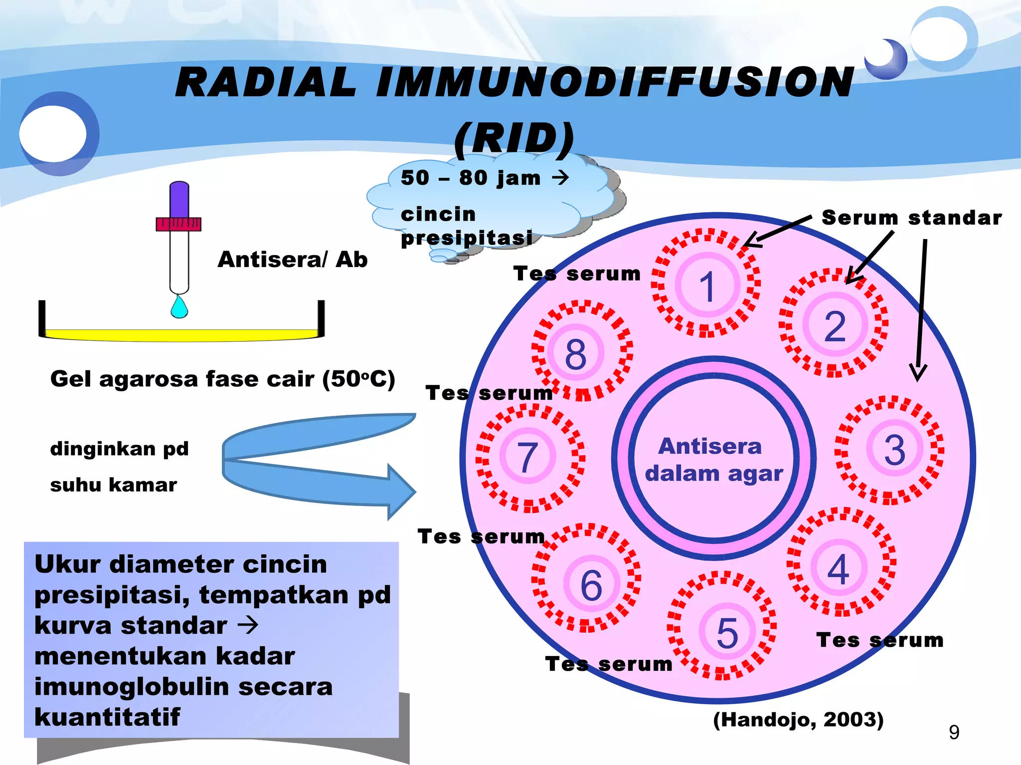RADIAL IMMUNODIFFUSION (RID) dinginkan pd suhu kamar Antisera  dalam agar 1 2 3 4 5 6 7 8 Tes serum Tes serum Tes serum Tes serum Tes serum Serum standar 50 – 80 jam     cincin presipitasi (Handojo, 2003)  Ukur diameter cincin presipitasi, tempatkan pd kurva standar    menentukan kadar imunoglobulin secara kuantitatif Gel agarosa fase cair (50 o C) Antisera/ Ab 