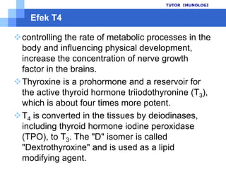 Prosedurpemeriksaan fT4TUTOR  IMUNOLOGI3350 µLStandar/Sampel/KontrolInkubasiSuhukamar60’Campur rata20-30 ‘’Microwells100 µLThyroxineenzime conjugate Campur rata 30 ‘’100 µLWorking Substrate solutionReagen A&B1:1BuangCuci-bilas5 xHilangkansisa air dg absorbent paper50 µLStop solutionInkubasiSuhukamar20’Baca OD 450 nm, 30’