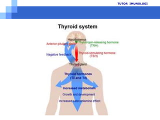 Thank You !www.themegallery.com