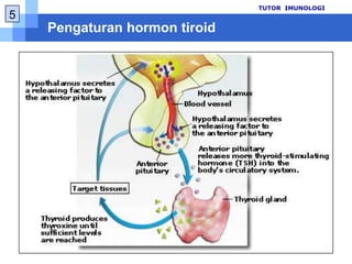 pengaruhluarterhadap axis tersebutkelainanendokrinterseringkeduasetelah diabetes mellitusberpengaruhkehampirseluruhtubuh