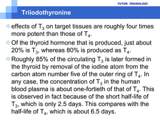 Kurvastandar TSHTUTOR  IMUNOLOGIabsorbansKonsentrasi TSH µIU/mL