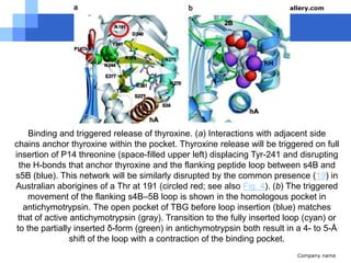 TSH Anaklahir 4 hari 1.0-39.0 mIU/L2-20 minggu       1.7-9.121 minggu-20th  0.7-64.0 Dewasa 21-54th  0.4-4.2 55-87 tahun        0.5-8.9Kehamilan trimester 1   0.3-5.2TUTOR  IMUNOLOGI