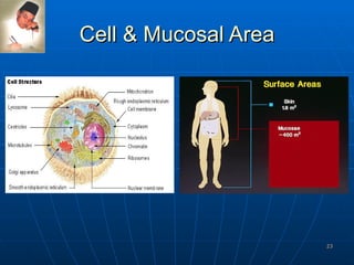 Cell & Mucosal Area 