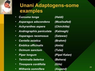 Unani Adaptogens-some examples   Curcuma longa   (Haldi) Asparagus adscendens   (Muslisafed)  Achyranthes aspera   ( Chirchitta) Andrographis paniculata   (Kalmegh) Asparagus racemosus   (Satawar) Centella asiatica   (Brahmi) Emblica officinalis   (Amla) Ocimum sanctum   (Tulsi) Piper longum   (Pipel Kalan) Terminalia belerica   (Behera) Tinospora cordifolia   (Gilo) Withania somnifera   (Asgand) 