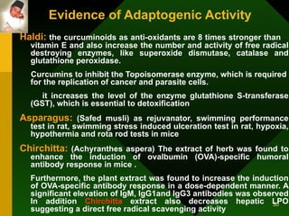 Evidence of Adaptogenic Activity   Haldi:  the curcuminoids as anti-oxidants are 8 times stronger than  vitamin E and also increase the number and activity of free radical destroying enzymes, like superoxide dismutase, catalase and glutathione peroxidase.  Curcumins to inhibit the Topoisomerase enzyme, which is required for the replication of cancer and parasite cells.  it increases the level of the enzyme glutathione S-transferase (GST), which is essential to detoxification  Asparagus:  (Safed musli) as rejuvanator, swimming performance test in rat, swimming stress induced ulceration test in rat, hypoxia, hypothermia and rota rod tests in mice  Chirchitta:  (Achyranthes aspera) The extract of herb was found to enhance the induction of ovalbumin (OVA)-specific humoral antibody response in mice . Furthermore, the plant extract was found to increase the induction of OVA-specific antibody response in a dose-dependent manner. A significant elevation of IgM, IgG1and IgG3 antibodies was observed In addition  Chirchitta  extract also decreases hepatic LPO suggesting a direct free radical scavenging activity  