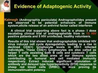 Evidence of Adaptogenic Activity Kalmegh   (Andrographis paniculata) Andrographolides present are observed to be potential enhancers of immune system,elicits release of an antiviral factor called interferon  A clinical trial supporting above fact is a phase- I dose escalating clinical trial of andrographolide from in  13 HIV  positive patients and 5 HIV uninfected, healthy volunteers.  Results of this trial shown that andrographolide inhibited HIV virus induced cell cycle dysregulation, leading to a rise in declined CD4(+) lymphocyte levels in HIV-1 infected individuals. These CD4(+) lymphocytes are also called as helper T cells assisting both B cells and cytotoxic T cells which are the two allied arms of our immune system contributing to humoral and cell mediated immunity respectively. Extract induced significant stimulation of antibody and delayed type hypersensitivity (DTH) response to sheep red blood cells (SRBC) in mice proving its immunostimualnt potency . 