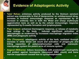 Evidence of Adaptogenic Activity Tulsi/ Rehan:   antistress activity produced by the Ocimum sanctum extract was comparable to that of desipramine, an antidepressant drug. increase in humoral immunologic response as represented by an increase in antibody titre in both the Widal and sheep erythrocyte agglutination tests as well as by the cellular immunologic response represented by E-rosette formation and lymphocytosis. Piper longum:  enhances thermogenic response, or release of metabolic heat energy in the body . induced significant activation of macrophages as evidenced by increased macrophage migration index (MMI) and phagocytic activity  Gilo (Tinospora):  adaptogenic activity of the herb, mediated through increase in white blood cell count and activation of phagocytic and killing capacities of polymorphonuclear cells and monocyte- macrophage system the potent arms of immune system. Asgand (Withania):  Induce leucocytosis with predominant neutrophilia and protect against leucopenia (decreased WBC count) and bone marrow suppression caused due to cyclophosphamide   