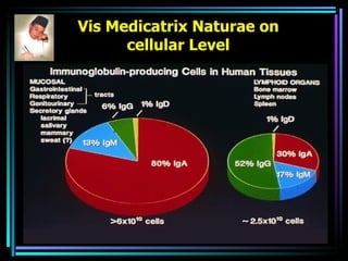Vis Medicatrix Naturae on cellular Level 