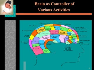 Brain as Controller of Various Activities   