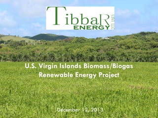U.S. Virgin Islands Biomass/Biogas
Renewable Energy Project

December 12, 2013

 