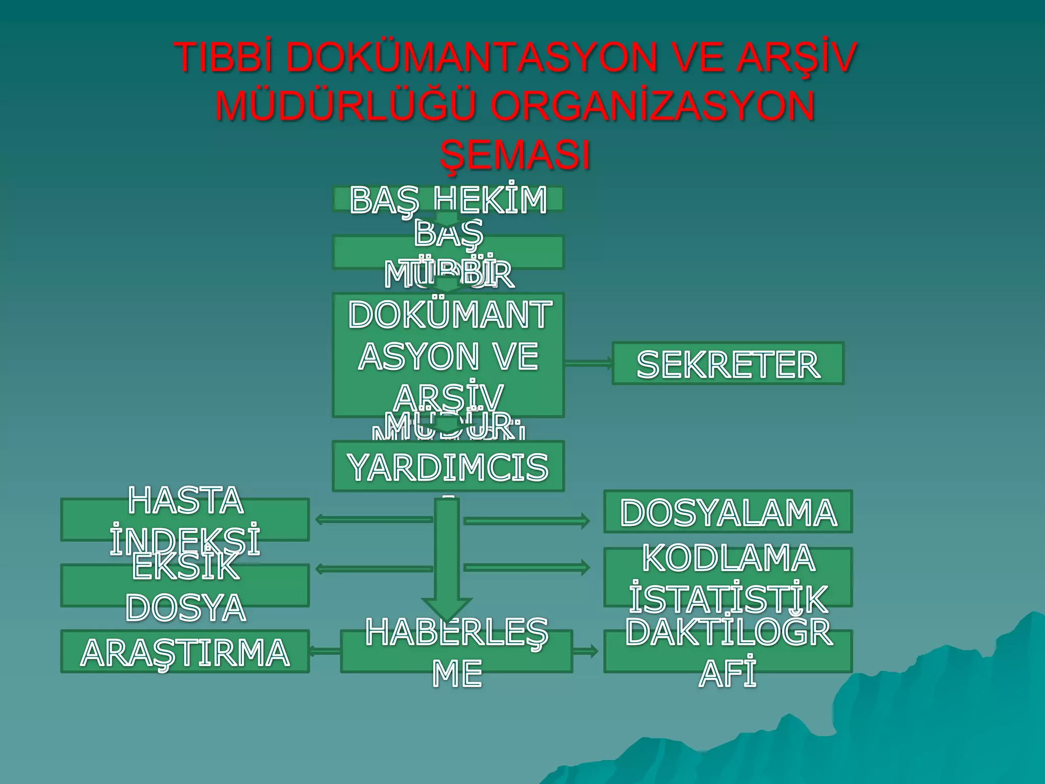 TIBBĠ DOKÜMANTASYON VE ARġĠV
MÜDÜRLÜĞÜ ORGANĠZASYON
ġEMASI
 