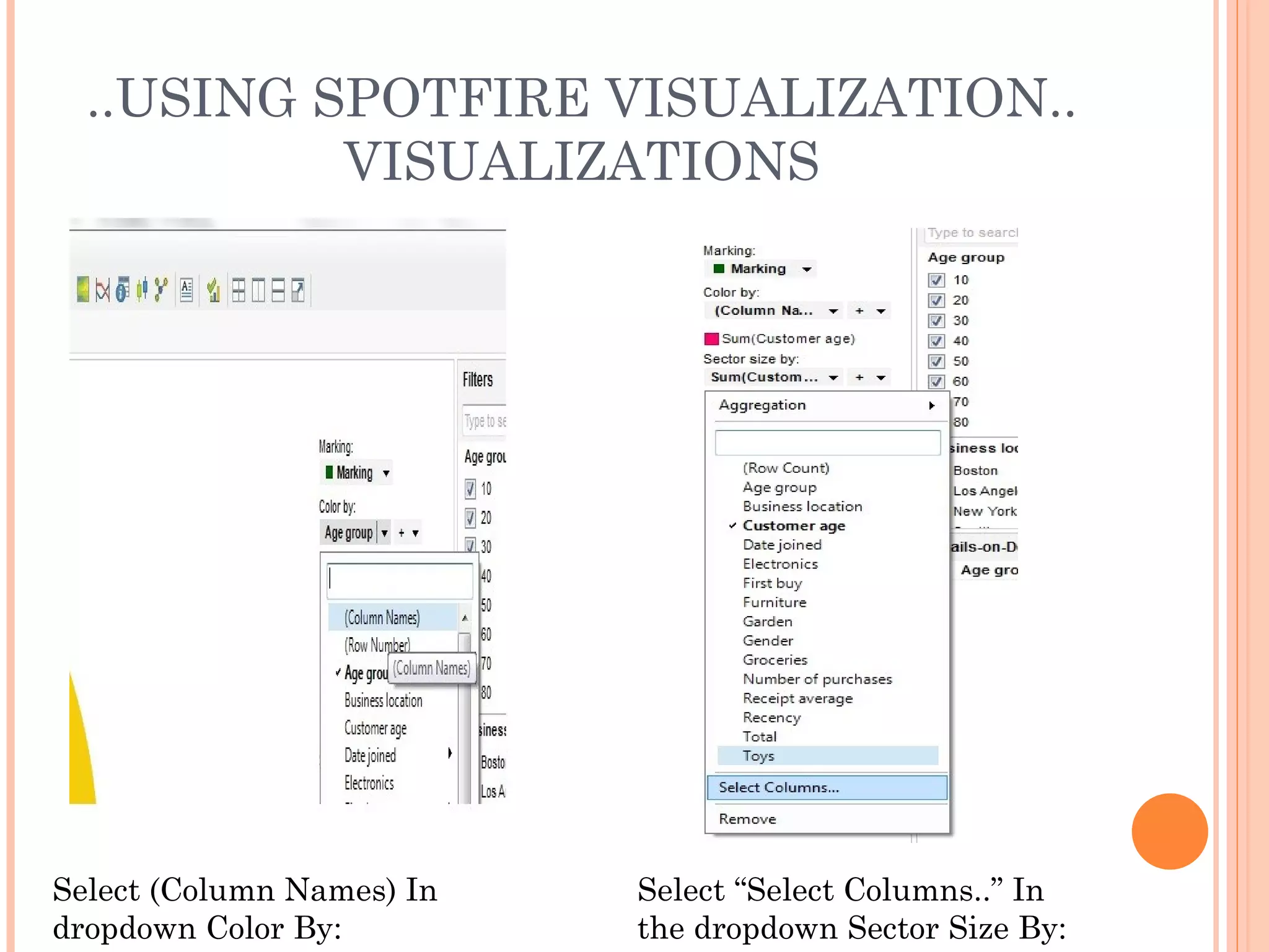 ..USING SPOTFIRE VISUALIZATION..
           VISUALIZATIONS




Select (Column Names) In   Select “Select Columns..” In
dropdown Color By:         the dropdown Sector Size By:
 
