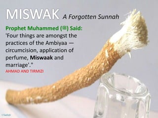 A Forgotten Sunnah
Prophet Muhammed (‫)ﷺ‬ Said:
'Four things are amongst the
practices of the Ambiyaa —
circumcision, application of
perfume, Miswaak and
marriage'."
AHMAD AND TIRMIZI
19
©Sadiqh
 