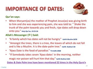 Qur’an says:
• When Maryam(as) the mother of Prophet Jesus(as) was giving birth
to him and she was experiencing pain, she was told to: ” Shake the
trunk of the palm towards you and fresh, ripe dates will drop down
onto you.” Holy Qur’an, 19:23-26
Allah's Messenger (‫ﷺ‬ ) Said:
• “A family which has dates will not be hungry.” -Sahih Muslim:5078
• "Amongst the trees, there is a tree, the leaves of which do not fall
and is like a Muslim. It is the date-palm tree.“ -Sahih Bukhari:58
• “Ajwa Date is the food of paradise.” Tirmidhi:2068
• “If Somebody takes seven ‘Ajwa dates’ in the morning, neither
magic nor poison will hurt him that day.” Sahih Bukhari:664
Dates & Date Palm tree have been mentioned 22 times in the Holy Qura’n
24
©Sadiqh
 