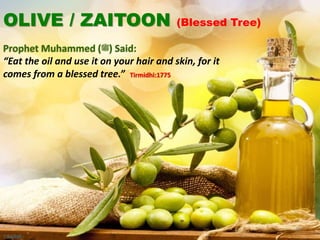 OLIVE / ZAITOON (Blessed Tree)
Prophet Muhammed (‫)ﷺ‬ Said:
“Eat the oil and use it on your hair and skin, for it
comes from a blessed tree.” Tirmidhi:1775
38
©Sadiqh
 