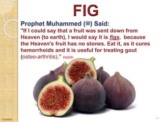 FIG
Prophet Muhammed (‫)ﷺ‬ Said:
"If I could say that a fruit was sent down from
Heaven (to earth), I would say it is figs, because
the Heaven's fruit has no stones. Eat it, as it cures
hemorrhoids and it is useful for treating gout
(osteo-arthritis).” Hadith
41©Sadiqh
 