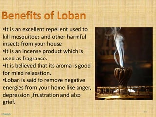 •It is an excellent repellent used to
kill mosquitoes and other harmful
insects from your house
•It is an incense product which is
used as fragrance.
•It is believed that its aroma is good
for mind relaxation.
•Loban is said to remove negative
energies from your home like anger,
depression ,frustration and also
grief.
44
©Sadiqh
 