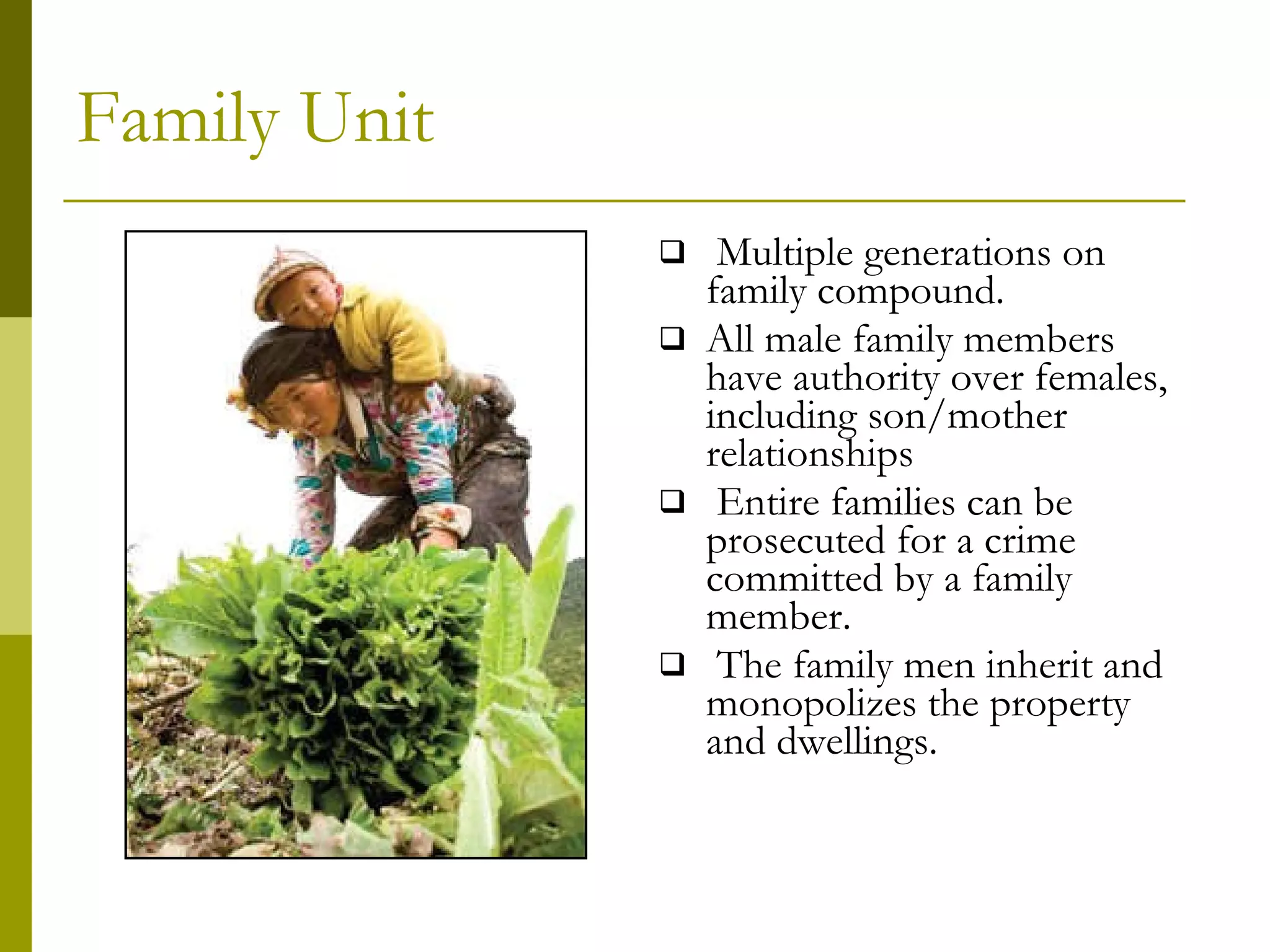 Family Unit Multiple generations on family compound. All male family members have authority over females, including son/mother relationships Entire families can be prosecuted for a crime committed by a family member. The family men inherit and monopolizes the property and dwellings. 