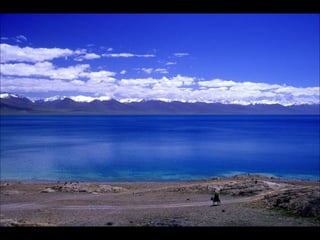 Tibet