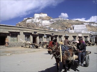 Tibet